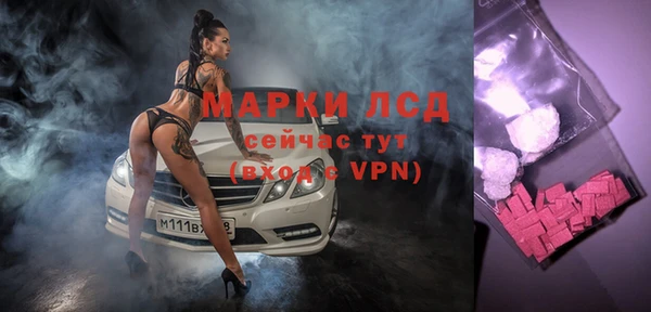 гашик Вязьма