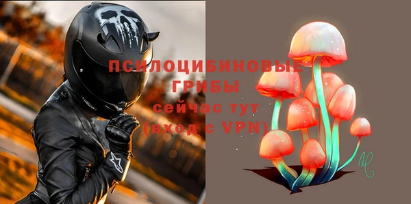гашик Вязьма