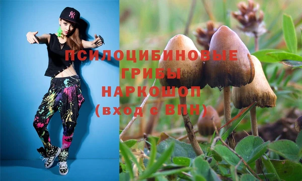 гашик Вязьма
