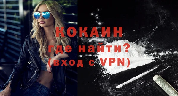гашик Вязьма