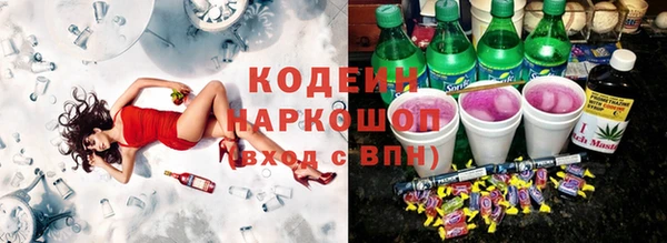 гашик Вязьма