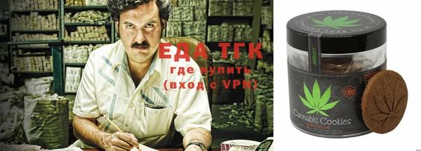 гашик Вязьма