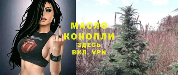 гашик Вязьма