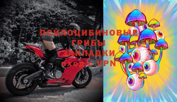 мяу мяу мука Вяземский