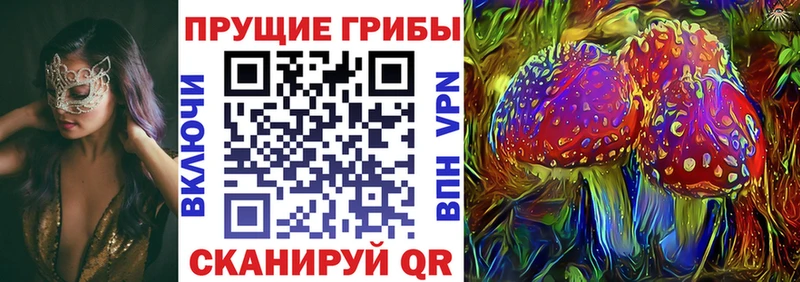 хочу   Елизаветинская  Псилоцибиновые грибы Psilocybe 